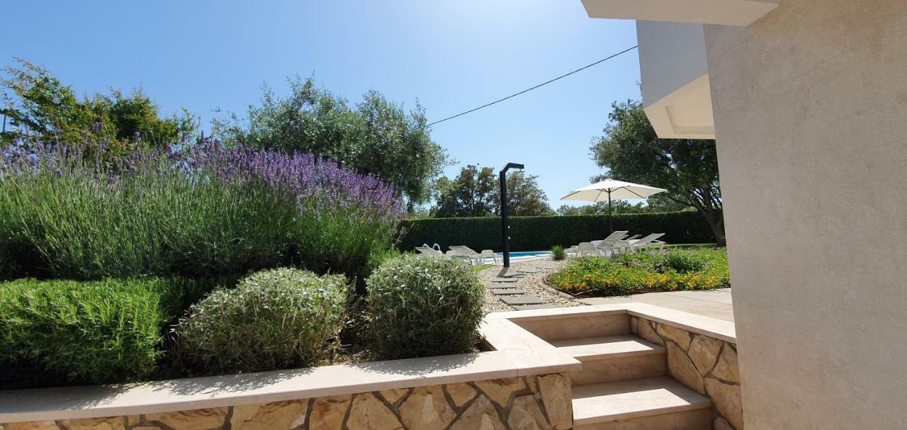 Apartments Sunny Estate Zaton  Exterior photo